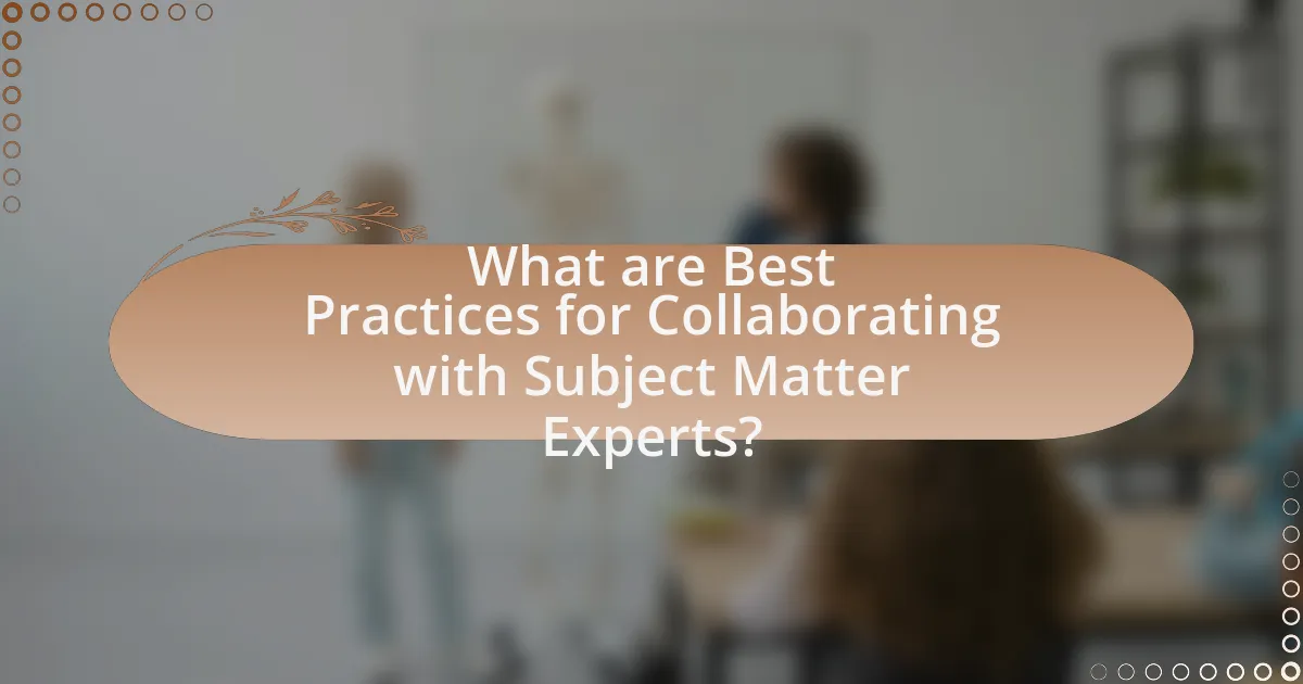 What are Best Practices for Collaborating with Subject Matter Experts?