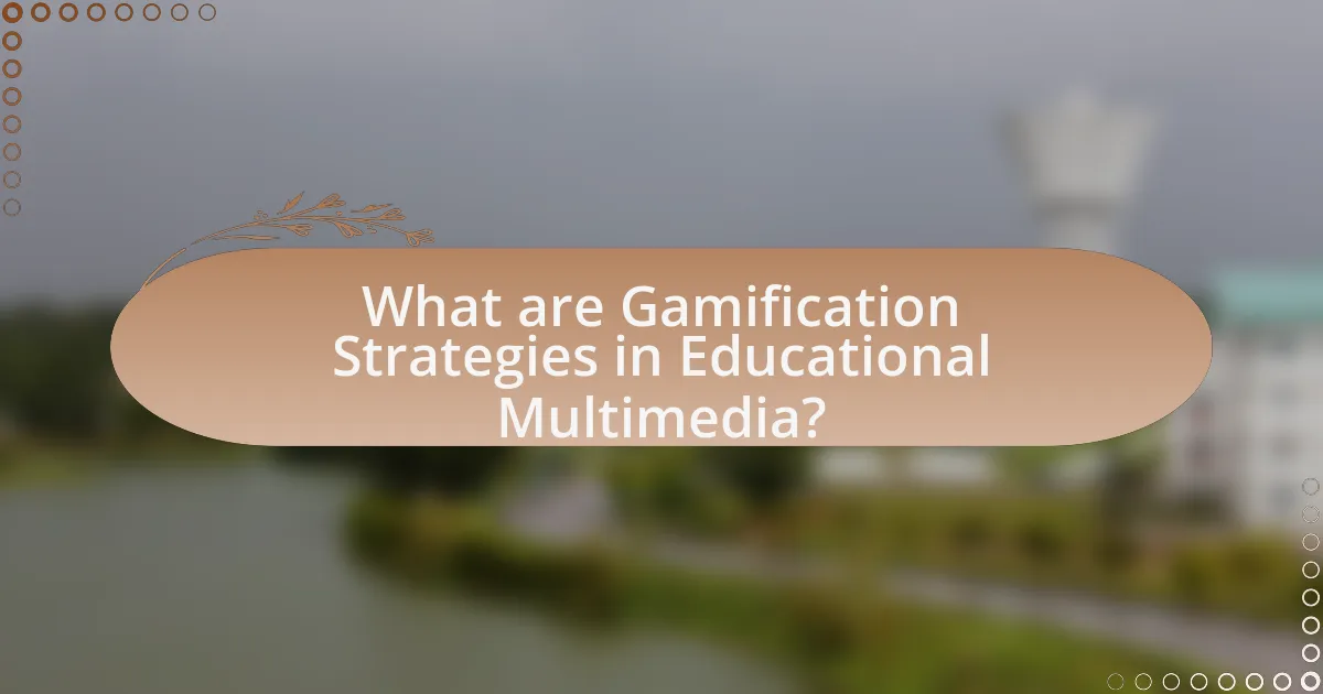 What are Gamification Strategies in Educational Multimedia?