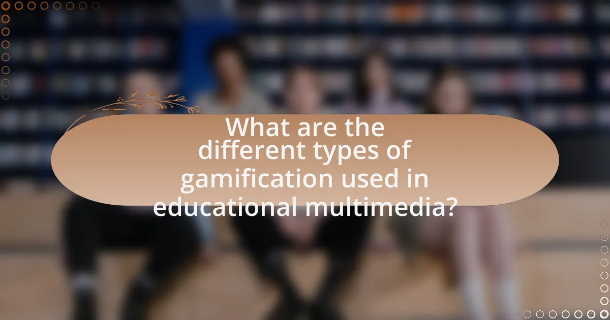 What are the different types of gamification used in educational multimedia?