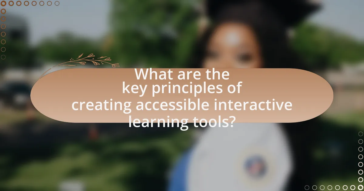 What are the key principles of creating accessible interactive learning tools?